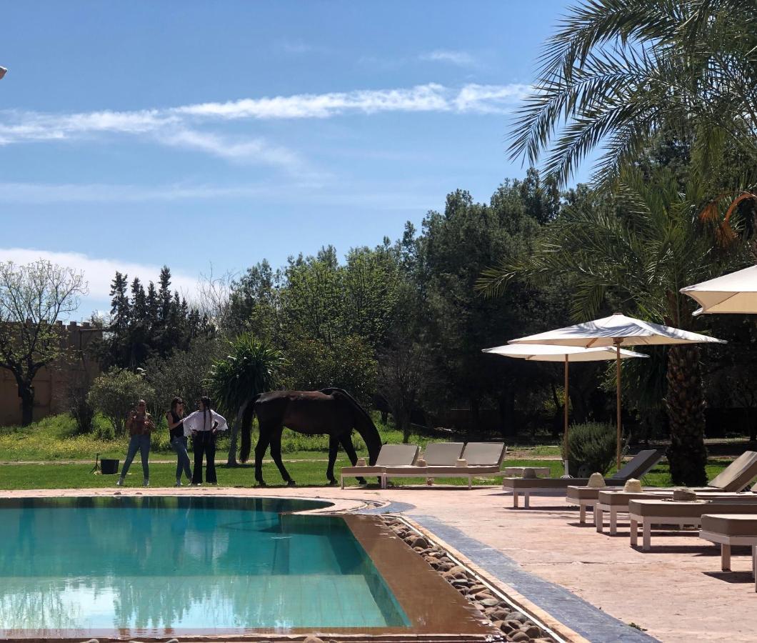 La Vie En Rose - Horses & Dogs House Bed and Breakfast Aït Hamid Eksteriør billede